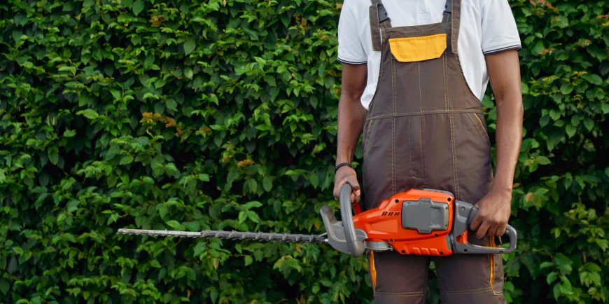 Why Hiring a Certified Tree Arborist Matters for Professional Tree Pruning Services