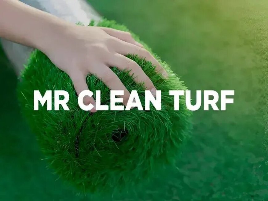 Phoenix Turf Contractors Near Me | Fast, Reliable & Licensed