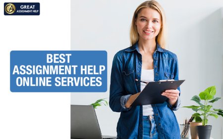 Stay on Top of Your Assignments with the Best Help in the USA