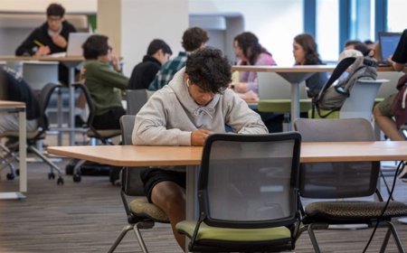 IWFM Assignment Help: Expert Guidance for Academic Success