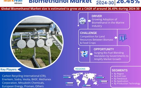 Biomethanol Market Dynamics – Driver, Segment & Competition FY2030