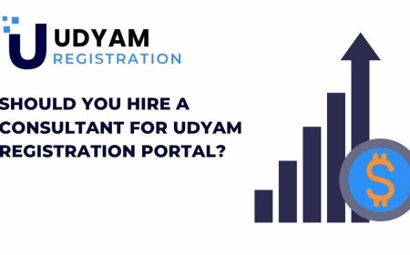 Should You Hire a Consultant for Udyam Registration Portal?