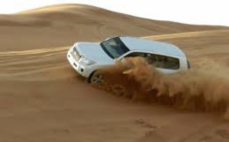 The Therapeutic Power of a Private Desert Safari