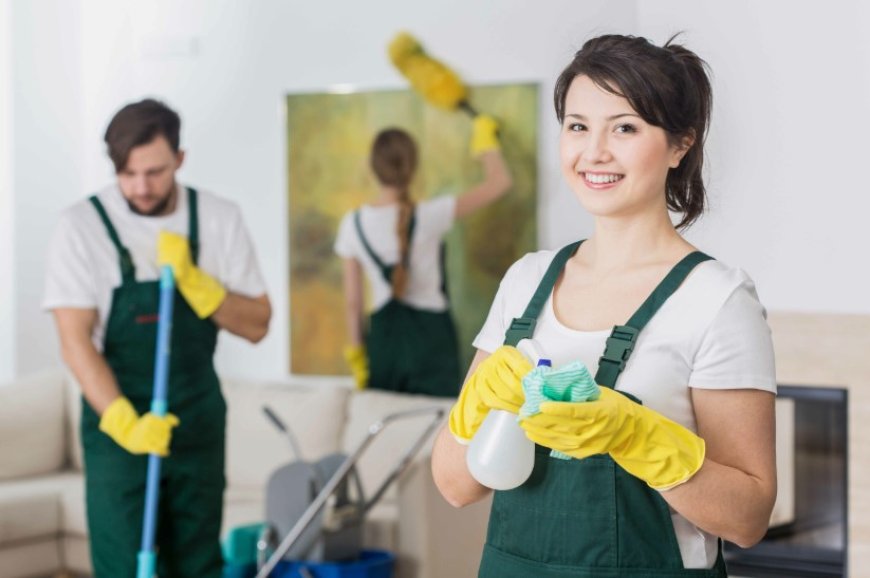 Domestic Cleaners Newcastle Upon Tyne - Trusted, Vetted Cleaners