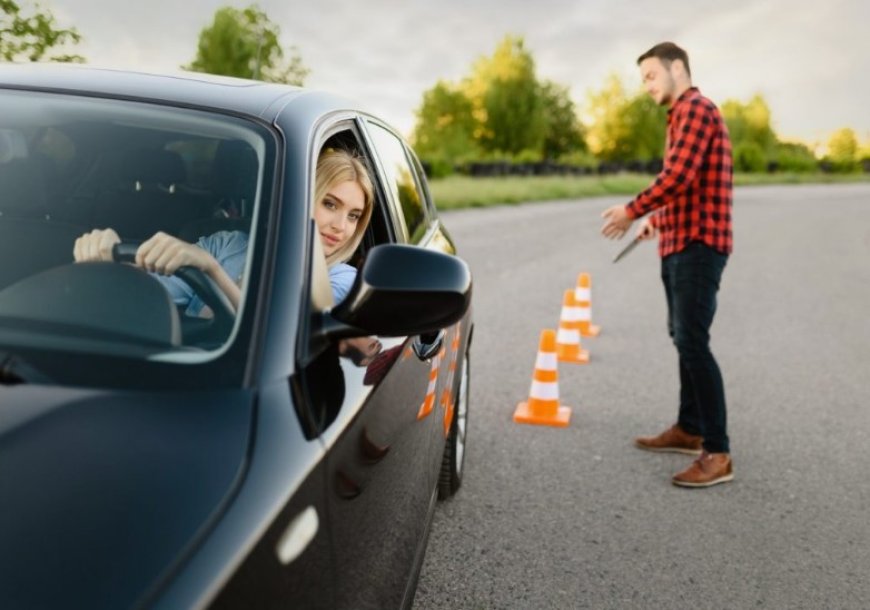 Driving school Oakville – Focus on safety skills