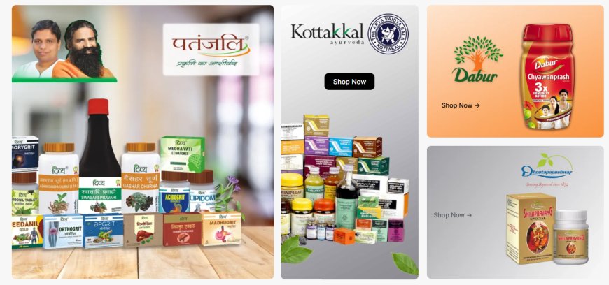 What Makes Swarna Shilajit a Unique Ayurvedic Rasayana for Strength and Vitality?