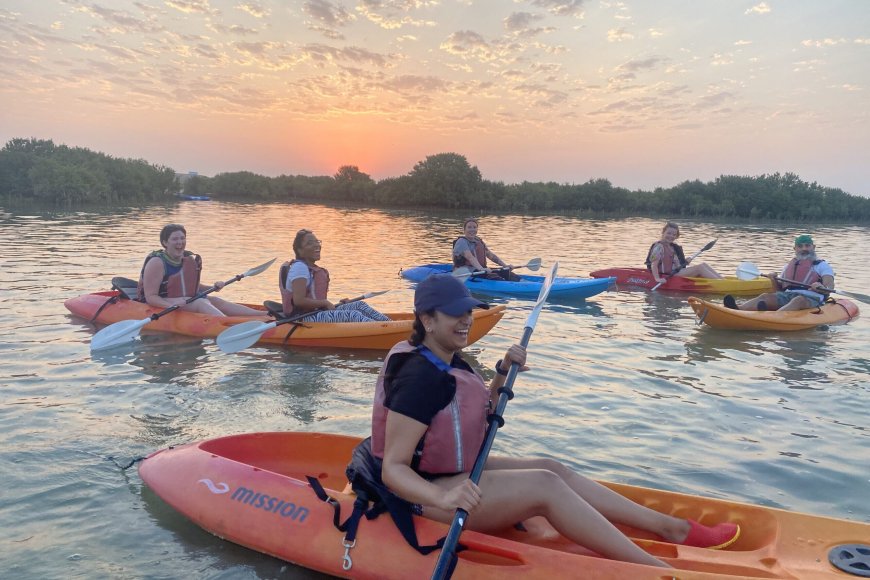 Kayaking in Qatar’s Mangroves: A Hidden Eco-Paradise Awaits