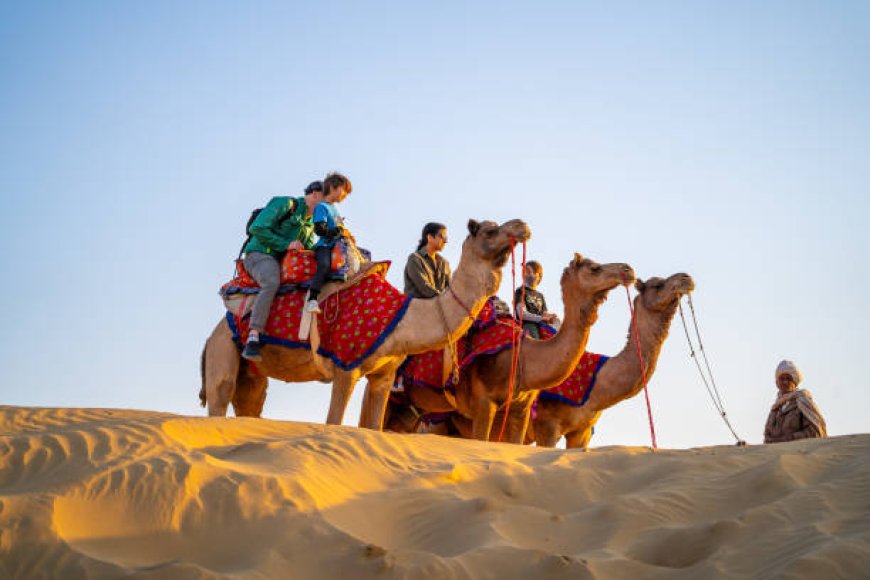 Best Jaisalmer Camel Safari Tours for an Unforgettable Experience