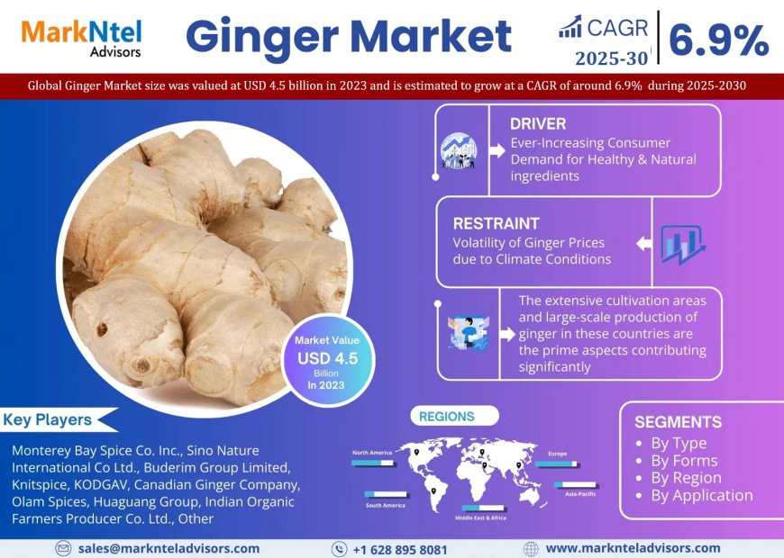 Ginger Market is Projected to Grow at a CAGR of 6.9% from 2025-30| MarkNtel Advisors
