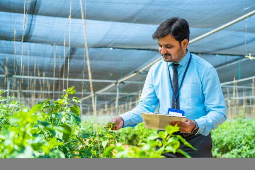Effective Methods for Monitoring Crop Health and Growth