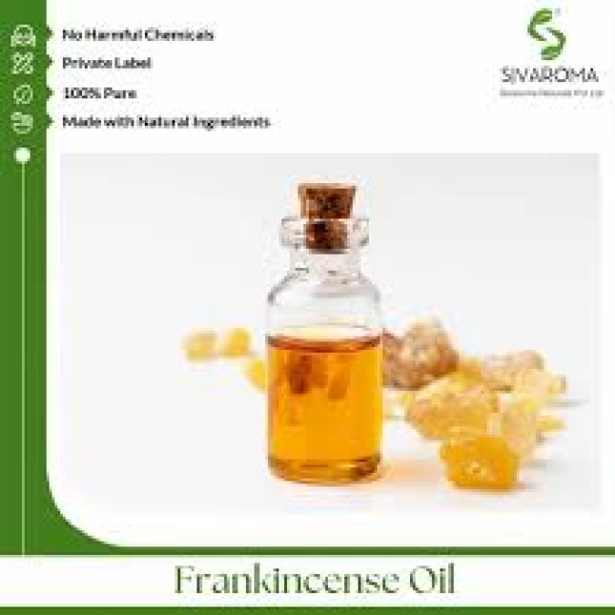Leading Essential Oil Exporters Supplying Globally