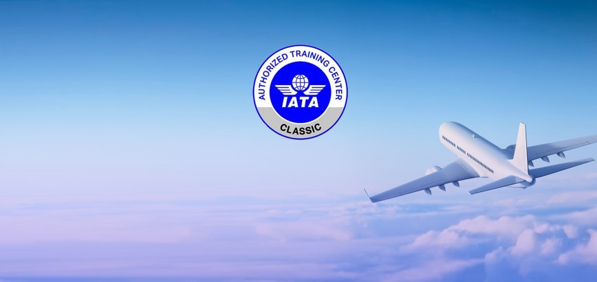 Find The Best Institutes For Courses in Airport Management: Neerja School of Aviation