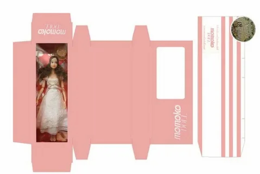 INTRODUCING CUSTOM BARBIE BOXES FOR RETAIL