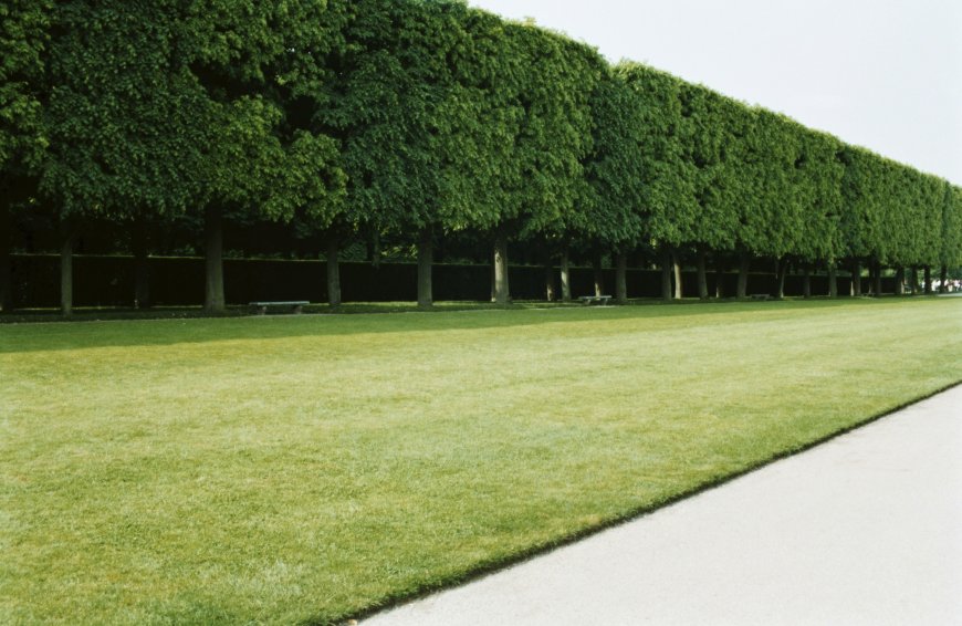 TopGreen Landscape Management Software: Transforming Outdoor Operations with Smart Tech