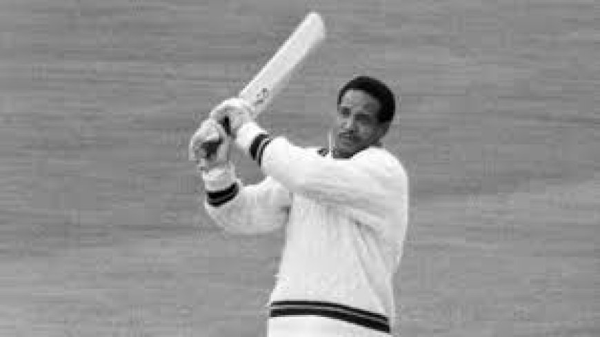 Chasing Greatness: Who Is the Best Cricket All Rounder in the World?