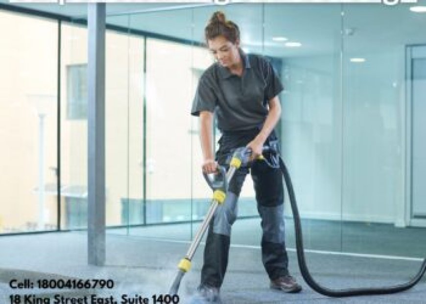 Carpet Cleaning Services for Pet Owners
