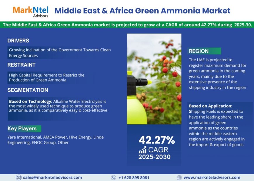 Middle East & Africa Green Ammonia Market to Grow at 42.27% CAGR by 2030 | MarkNtel Advisors