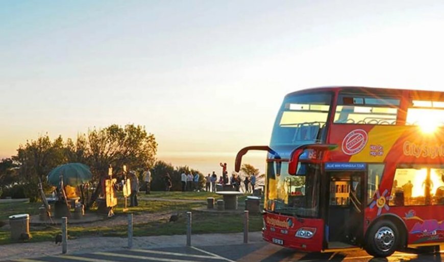 Why Cape Town’s Hop-On Hop-Off Bus is the Best Way to Explore the City