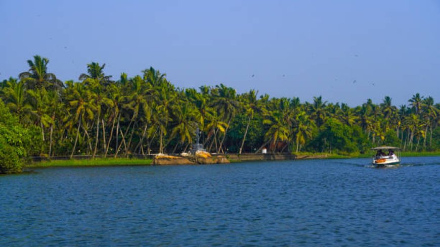 Top Kerala Backwater Packages for a Serene 2025 Experience
