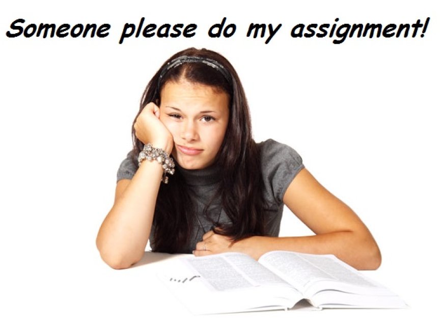 Can Someone Do My Assignment? Here’s What You Need to Know