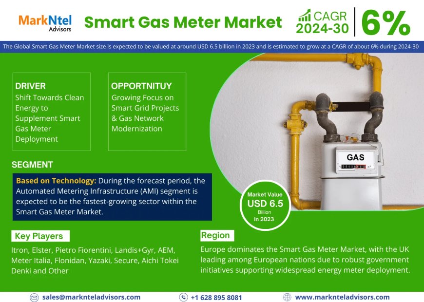 Smart Gas Meter Market Comprehensive Analysis and Forecast 2024-2030