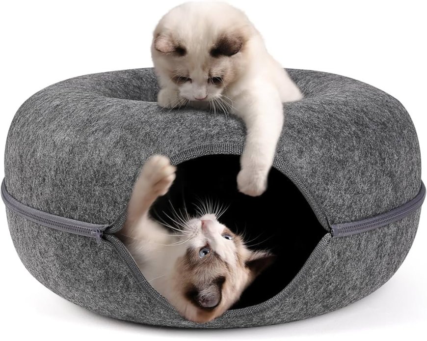 How to Choose the Right Cat Tunnel House for Your Home and Pet