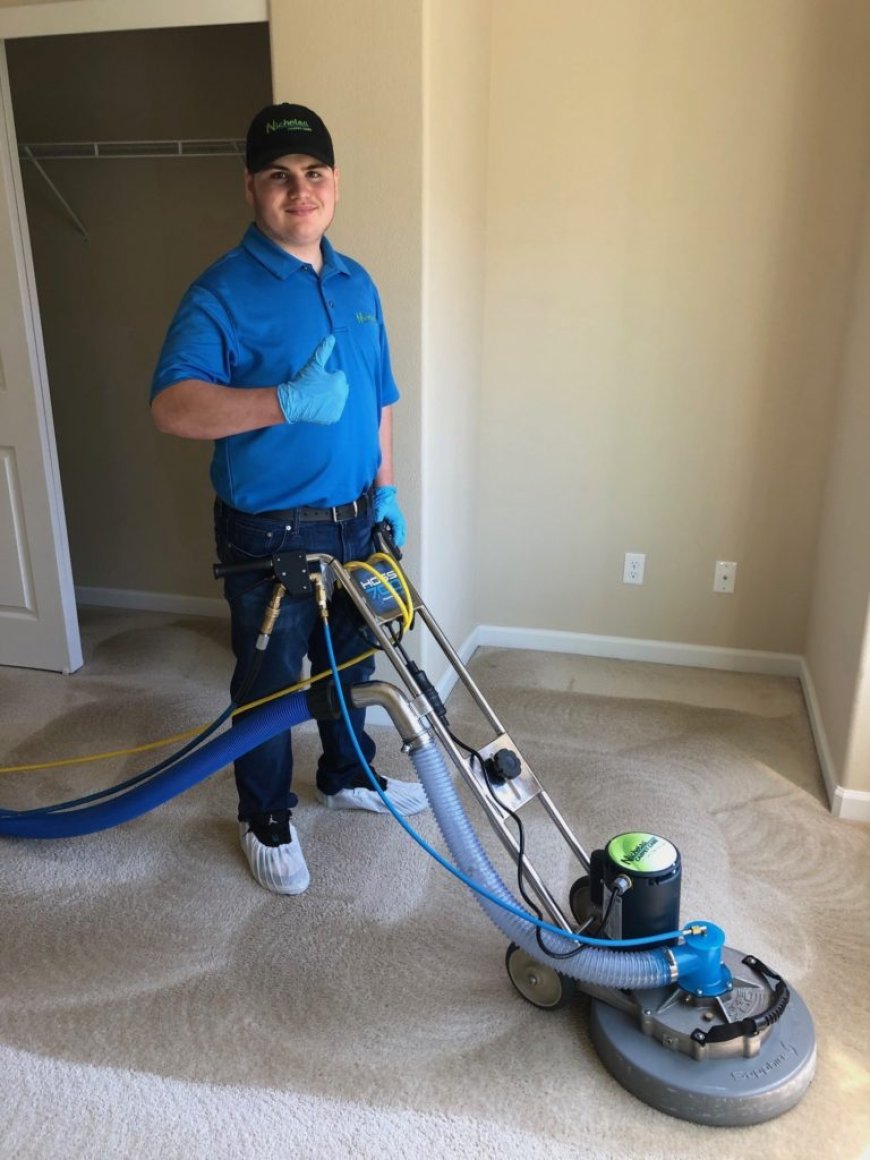 Fort Collins Carpet Cleaning: Best Service for Clean Carpets