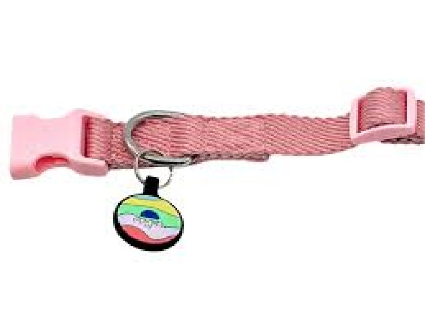 Step-by-Step: How to Apply for a Dog License Tag in the USA