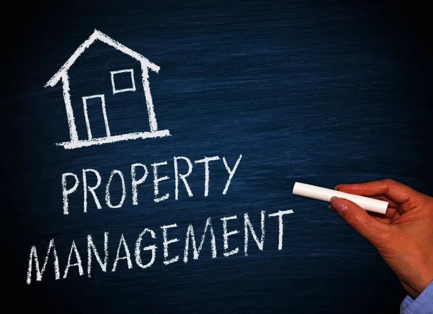 How the Top Property Management Companies in Hutchinson Island Attract Luxury Renters Fast