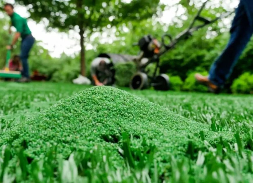 Looking for Hassle-Free Lawns? The Artificial Turf Installation Nearest to My Area Has You Covered