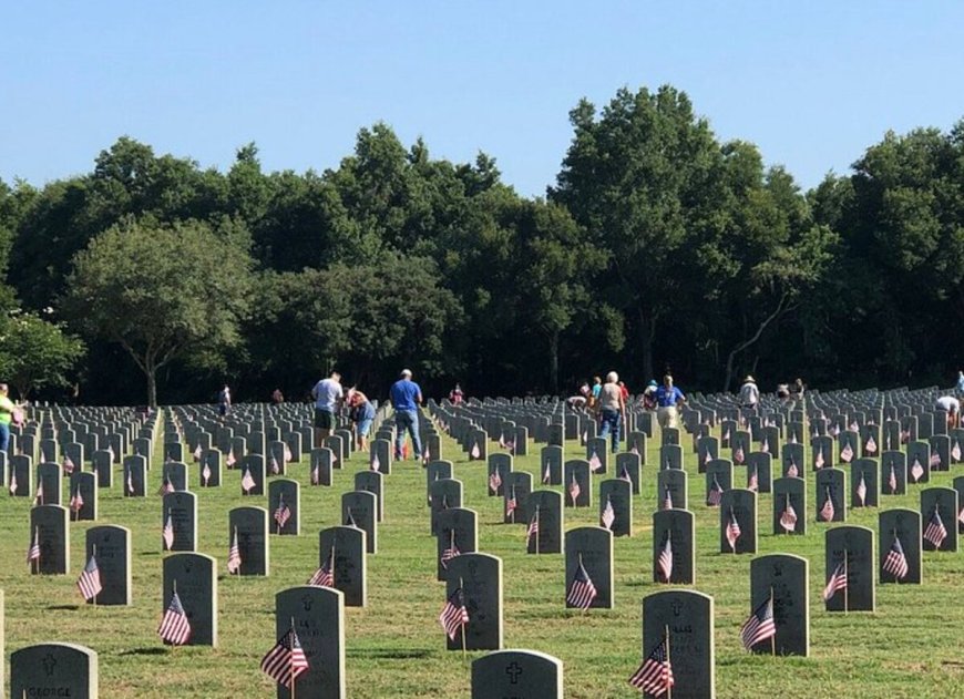 Why More Families Are Choosing a Military Cemetery in Florida for Their Loved Ones