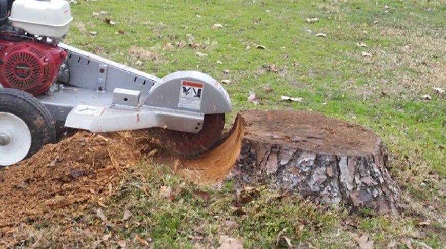 Reliable Stump Contractor Near Me – Fast Service in Grants Pass