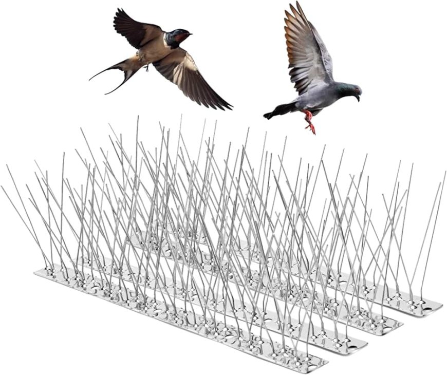 How Bird Spikes Can Solve Your Pigeon Problem in Dubai