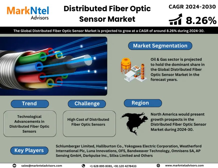 Distributed Fiber Optic Sensor Market Insights, Share & Growth Trends 2024-2030