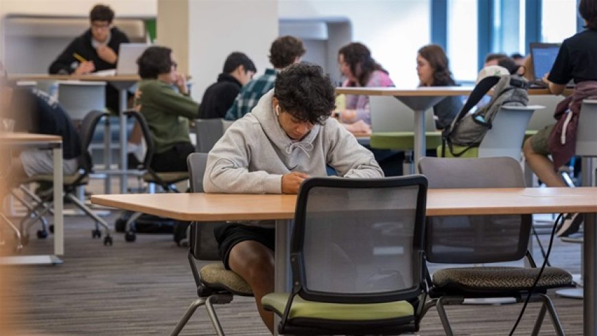 IWFM Assignment Help: Expert Guidance for Academic Success
