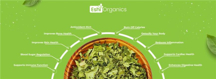 Moringa Powder Price Comparison: Online vs. Local Markets in Pakistan