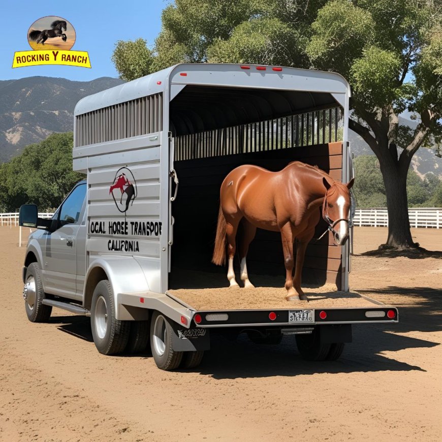 Ensuring Safe and Reliable Journeys with Nationwide Horse Transportation