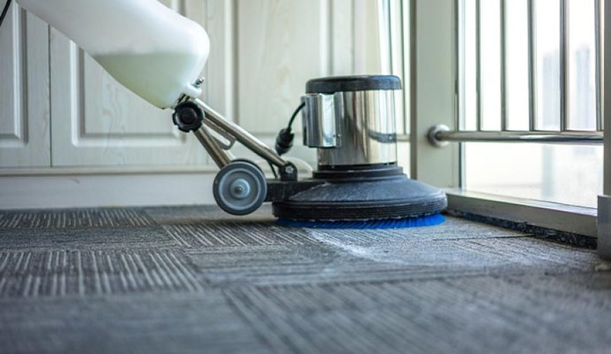 Why Do You Need Professional Odor Removal Services for Your Home?