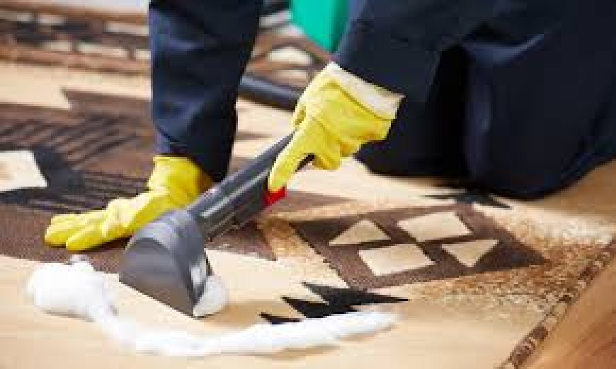 Expert Tips on Maintaining Your Sofa with Sofa Cleaning Brooklyn