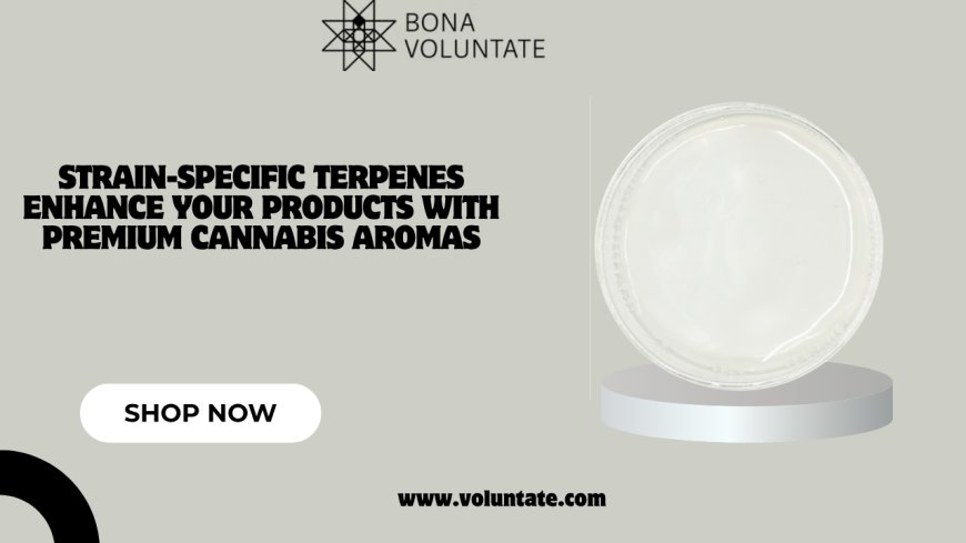 Strain-Specific Terpenes Enhance Your Products with Premium Cannabis Aromas