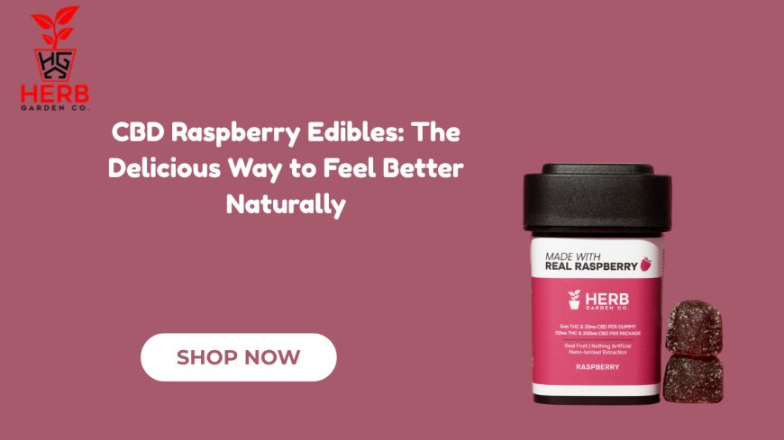 CBD Raspberry Edibles: The Delicious Way to Feel Better Naturally