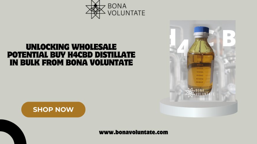 Unlocking Wholesale Potential Buy H4CBD Distillate in Bulk from Bona Voluntate