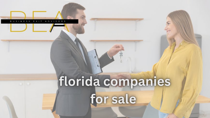 Companies for Sale Florida: Opportunities with Expert Business Brokers