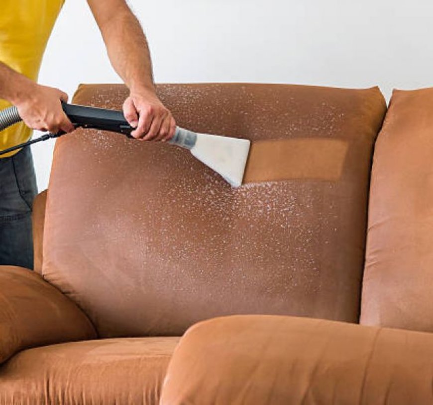Why Sofa Cover Cleaning Services Are Essential for Pet Owners