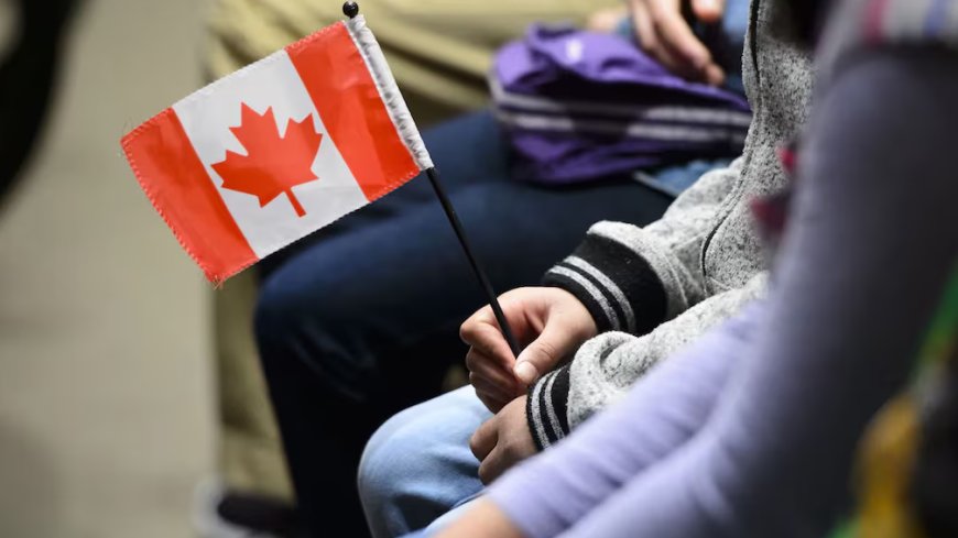 What to Do if Your Immigration Application Is Refused in Brampton