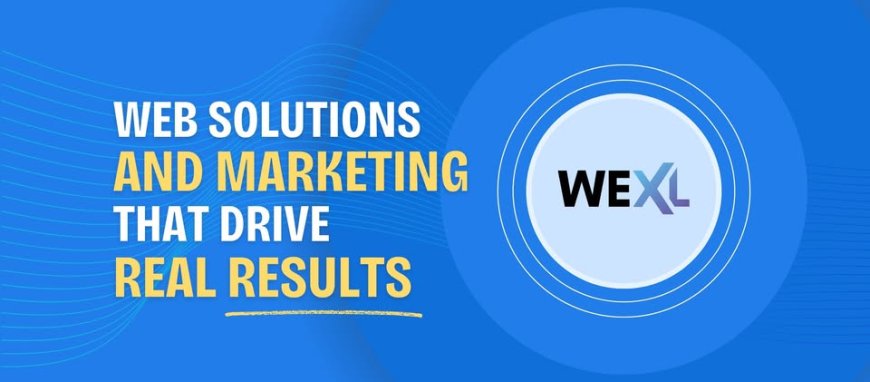 WEXL Digital: Elevating Brands with Smart Web Solutions
