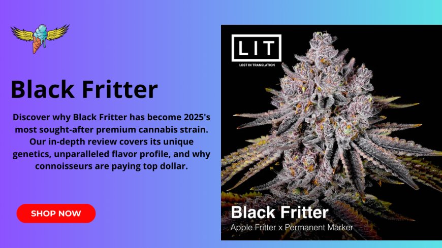 Black Fritter: The Strain That's Redefining Premium Cannabis in 2025