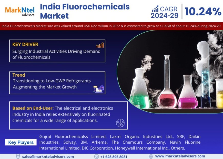 India Fluorochemicals Market Comprehensive Analysis and Forecast 2024-29
