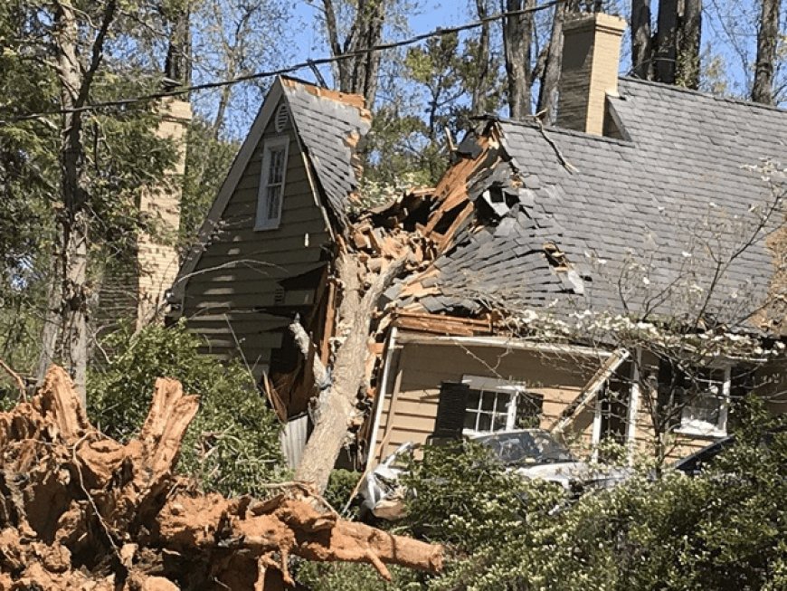 Storm Damage Restoration: Essential Steps to Repair Your Home