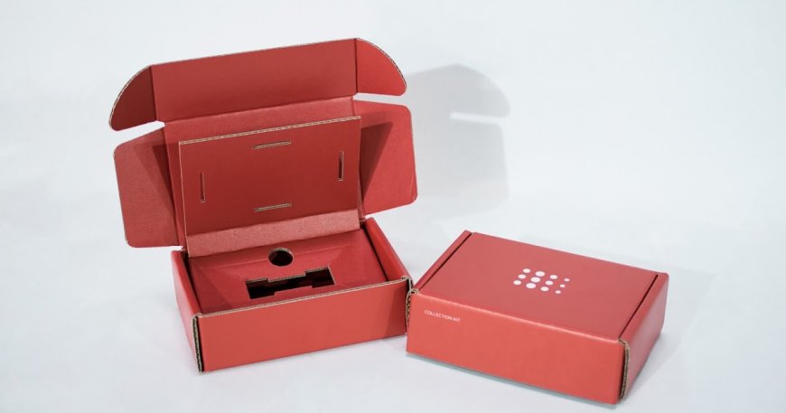 Custom Boxes with Eva Foam Inserts – Ultimate Protection and Presentation Solution